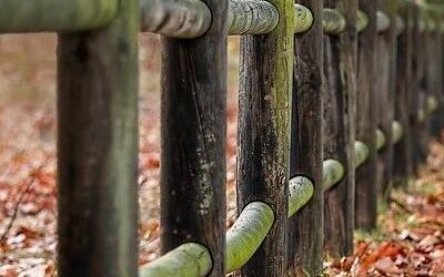 Ante ulti internac on natus corporis porro.